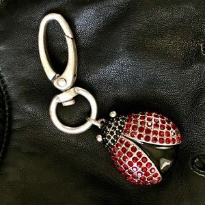 Ladybug Keychain 🐞
